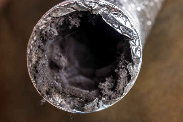  Mount Pulaski, IL Airduct Cleaning Pros